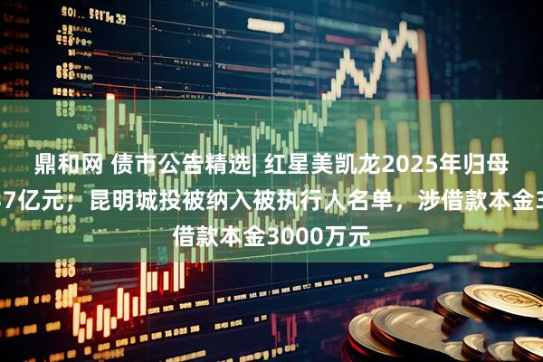 鼎和网 债市公告精选| 红星美凯龙2025年归母净亏损237亿元;昆明城投被纳入被执行人名单,涉借款本金3000万元