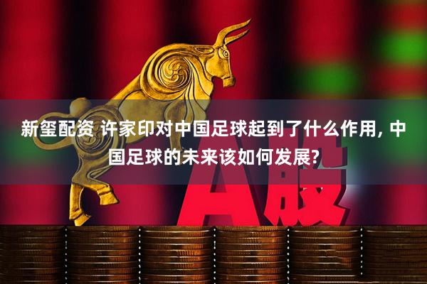 新玺配资 许家印对中国足球起到了什么作用, 中国足球的未来该如何发展?