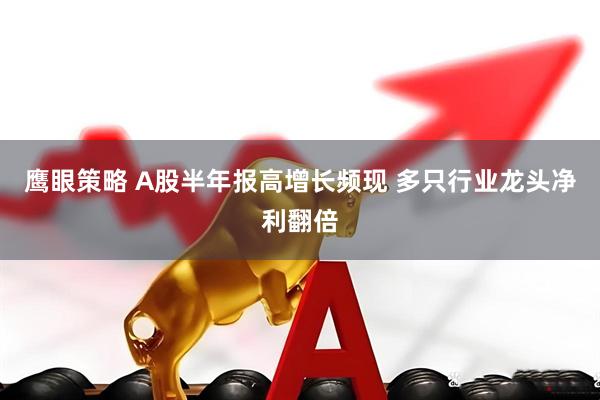 鹰眼策略 A股半年报高增长频现 多只行业龙头净利翻倍